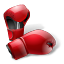 605 Boxing Gloves